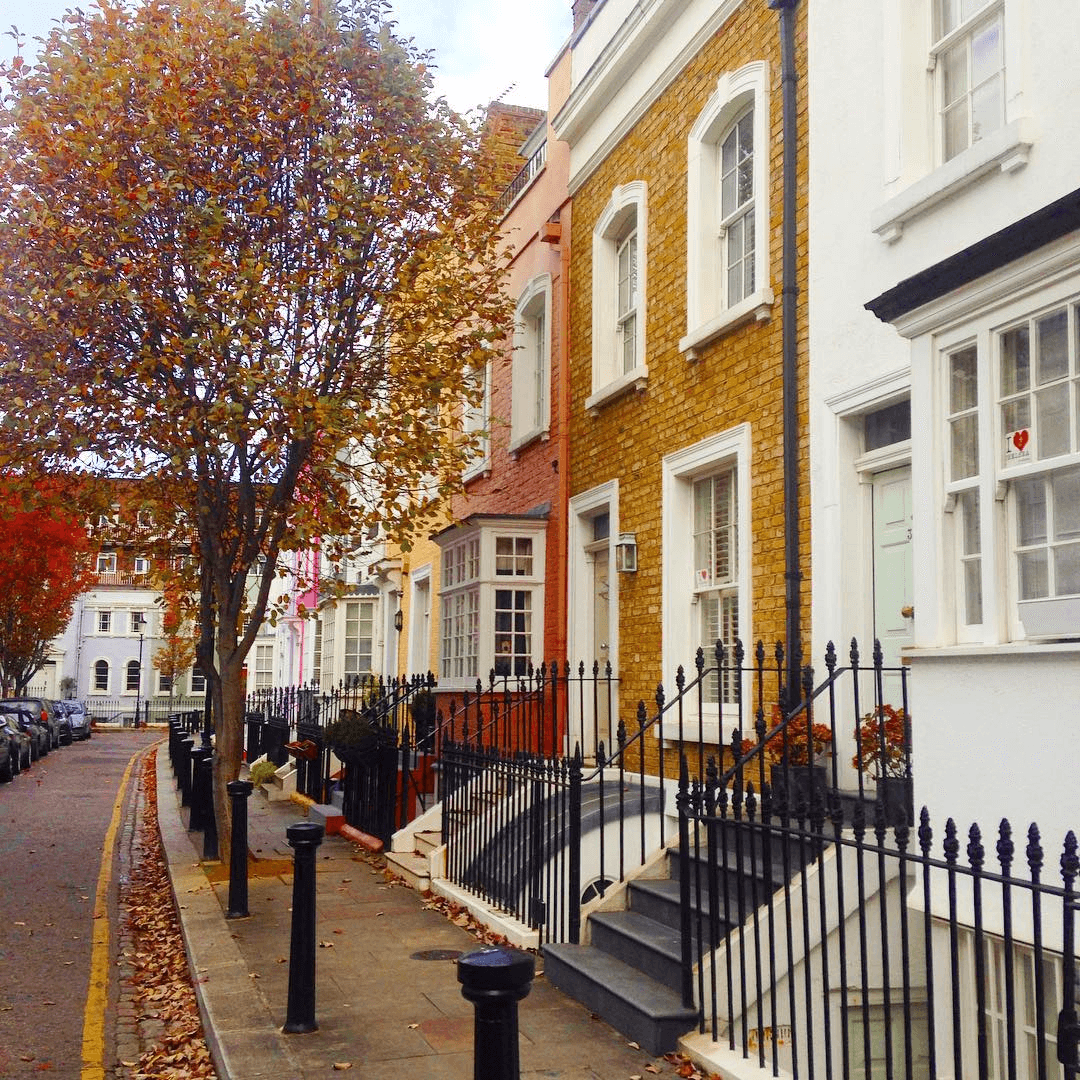 Victorian terraced houses on a Chelsea street lined with amber autumn trees