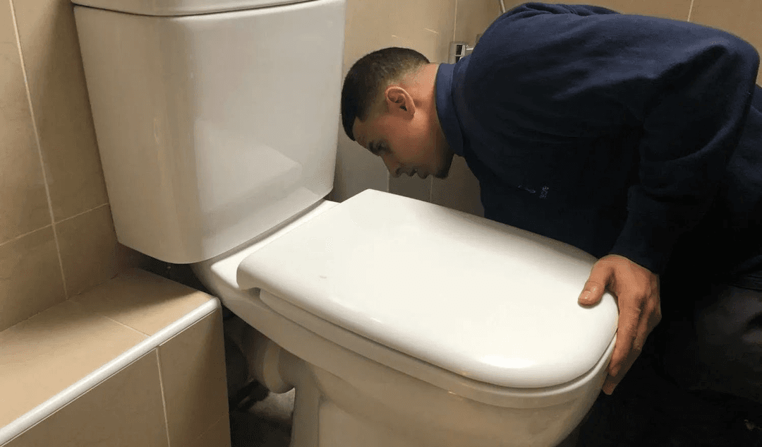 Toilet Repairs
